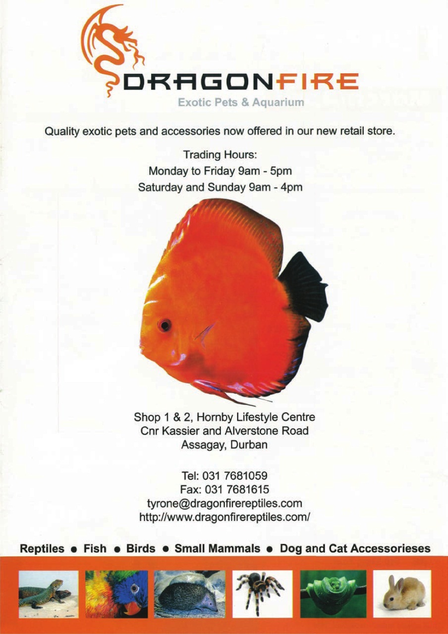 Ultimate Exotics Preview Pages