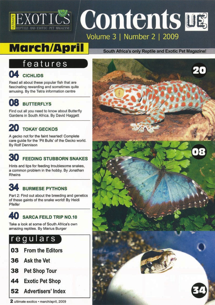 Ultimate Exotics Preview Pages