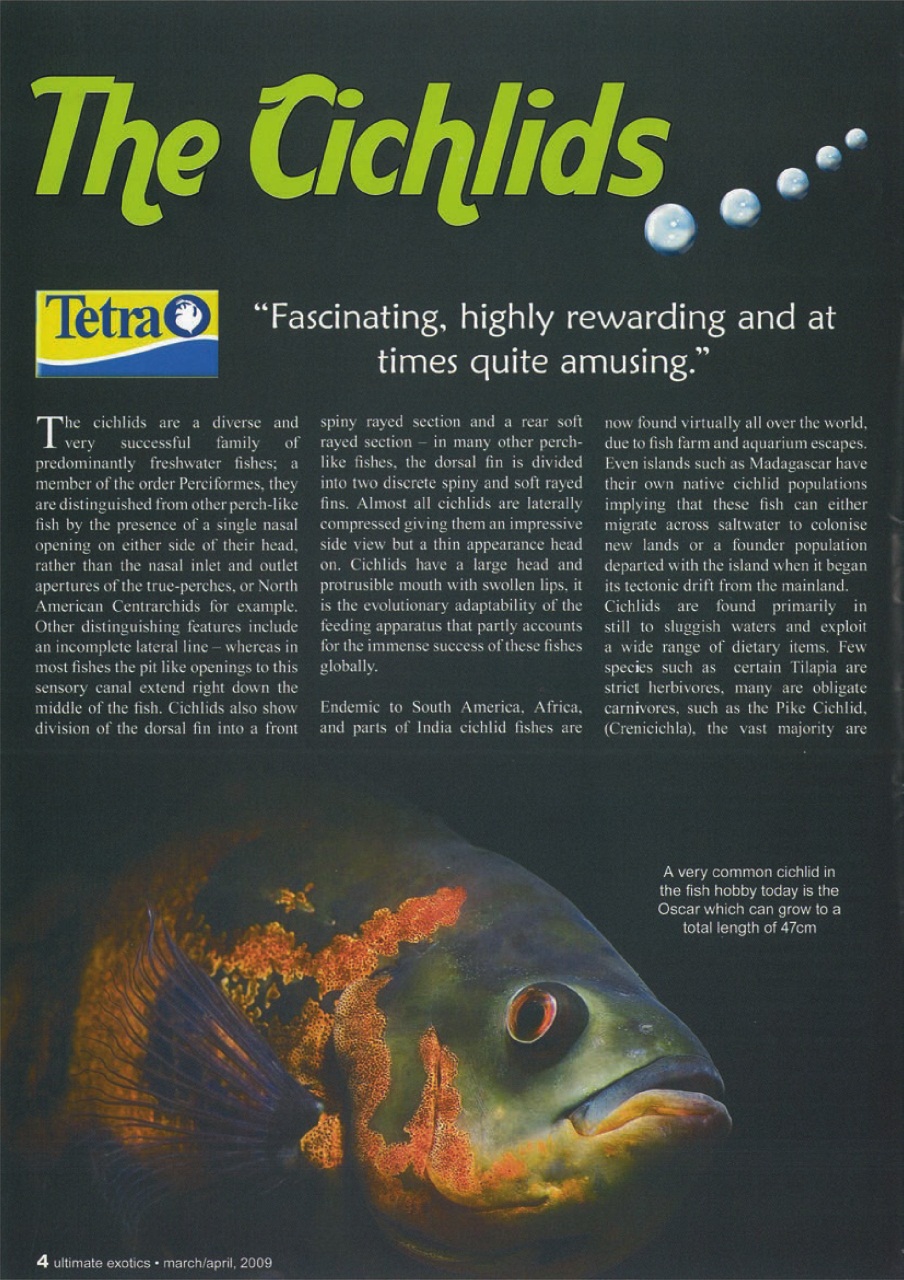 Ultimate Exotics Preview Pages