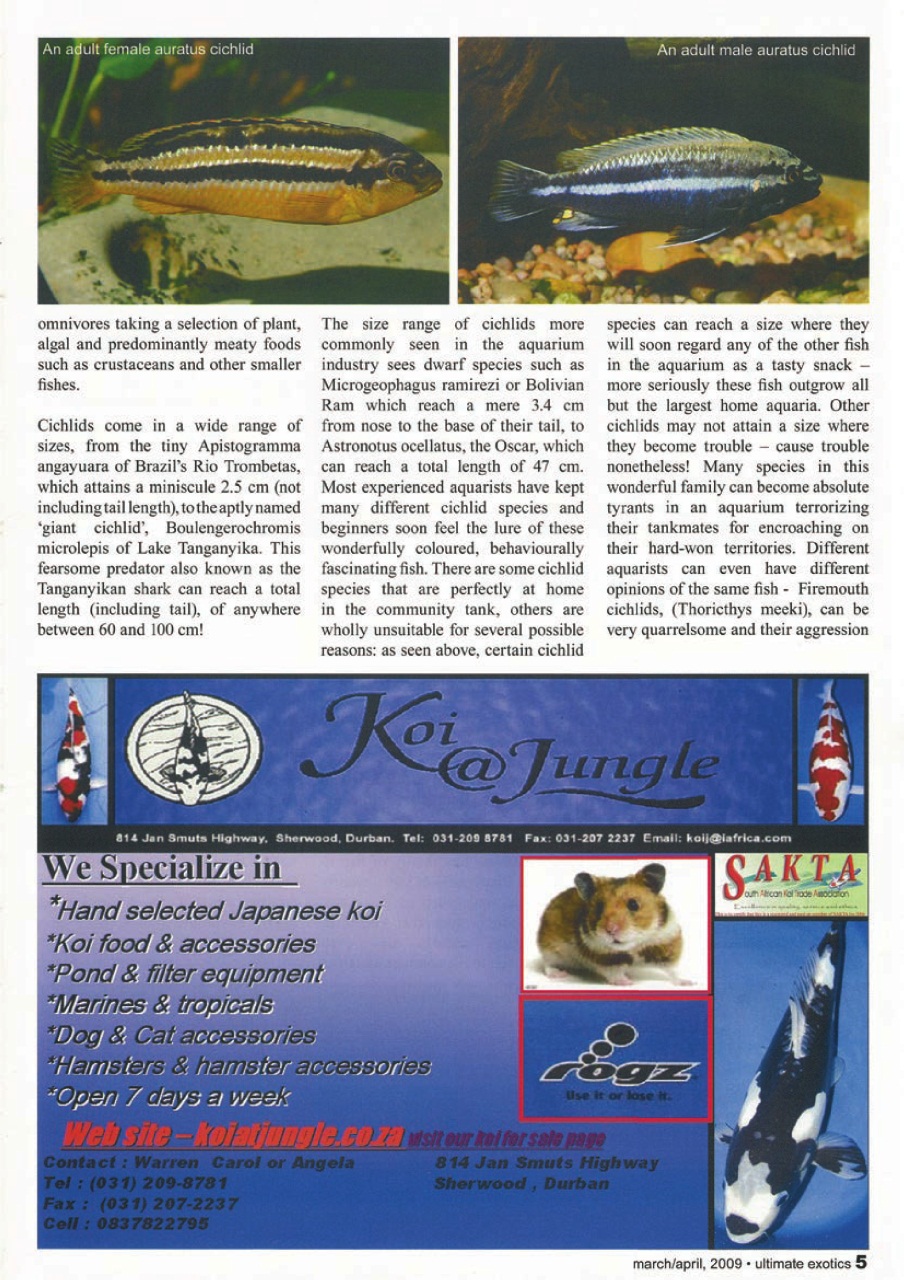 Ultimate Exotics Preview Pages