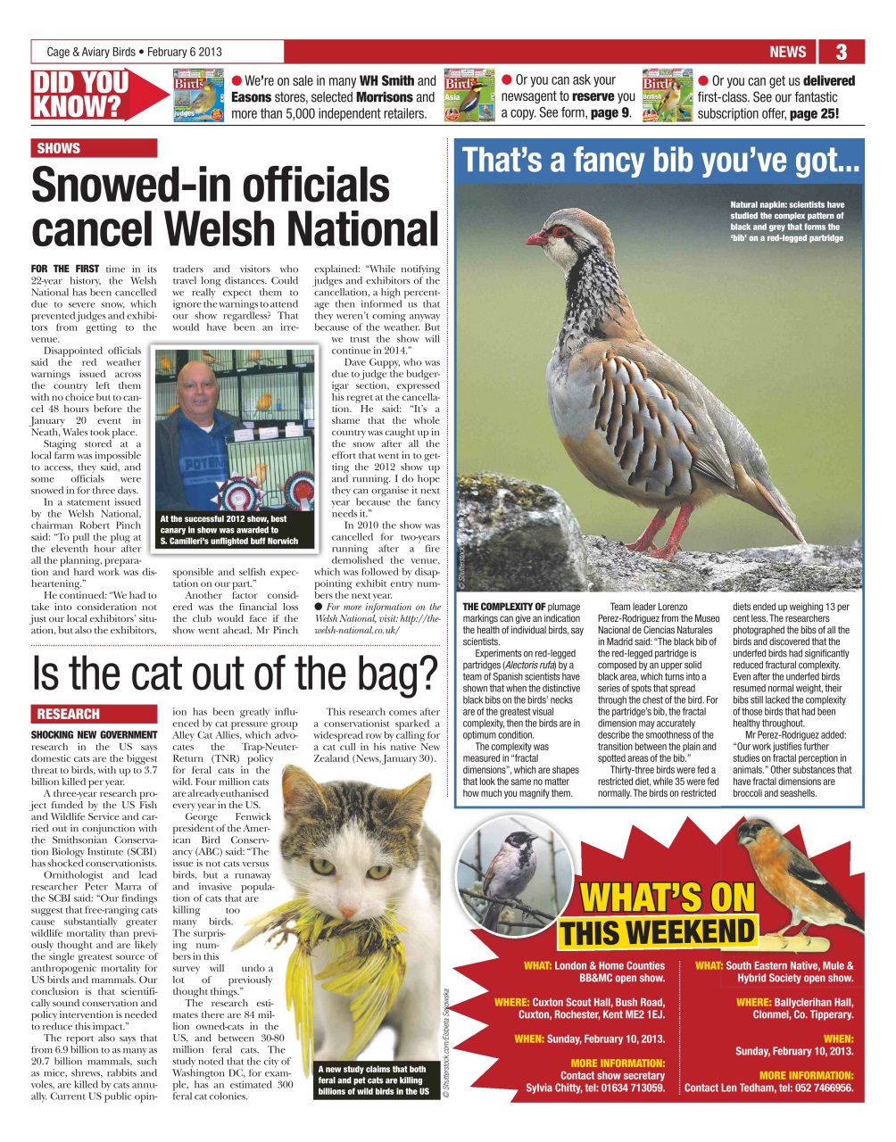 Cage & Aviary Birds Preview Pages