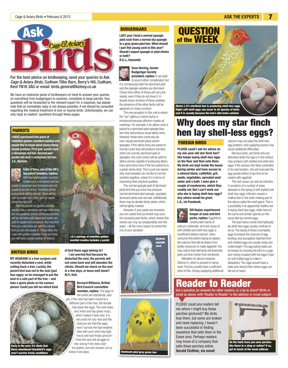 Cage & Aviary Birds Preview Pages