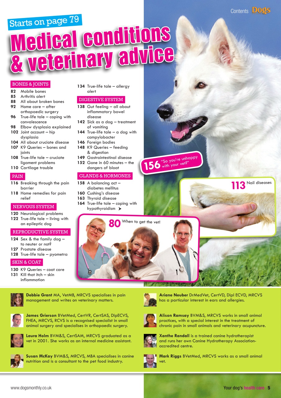 Dogs Monthly Preview Pages