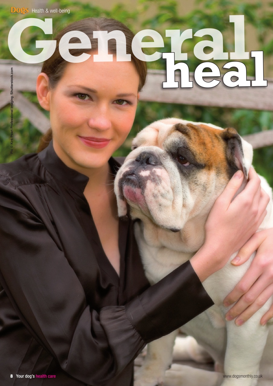 Dogs Monthly Preview Pages