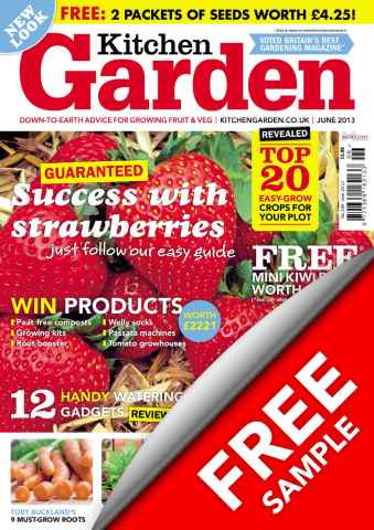 June 2013 - free sample issue June 2013 - free sample