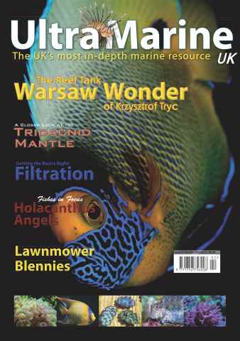 UltraMarine Magazine issue Issue 32