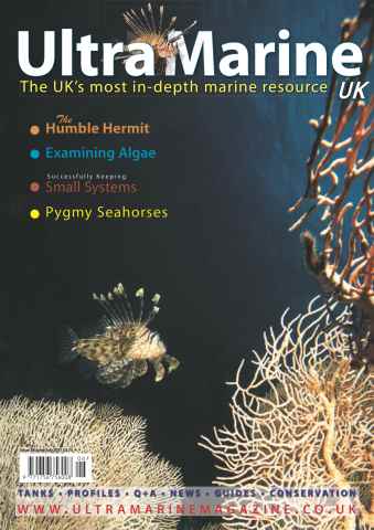 UltraMarine Magazine issue Issue 28