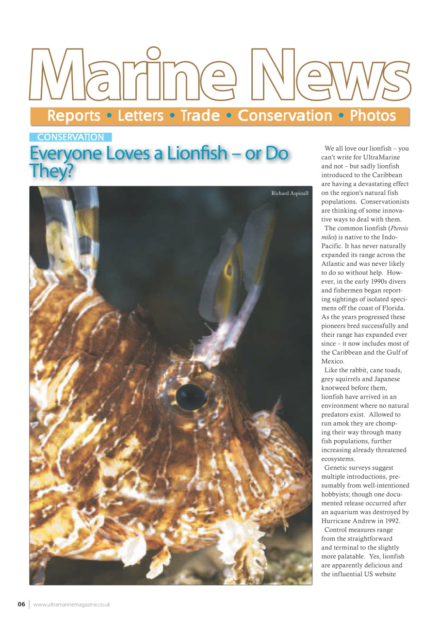 UltraMarine Magazine Preview Pages