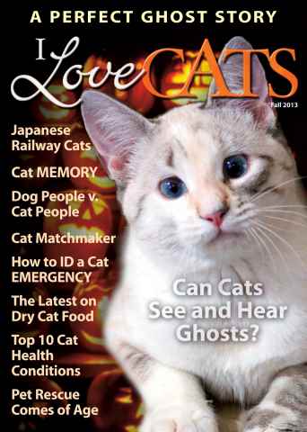 Fall 2013 issue Fall 2013