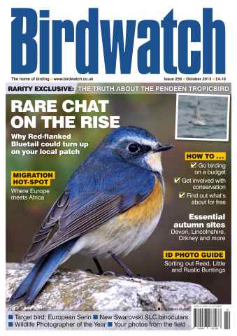 Birdwatch Magazine issue October 2013