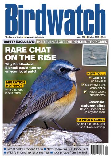 Birdwatch Magazine issue 
