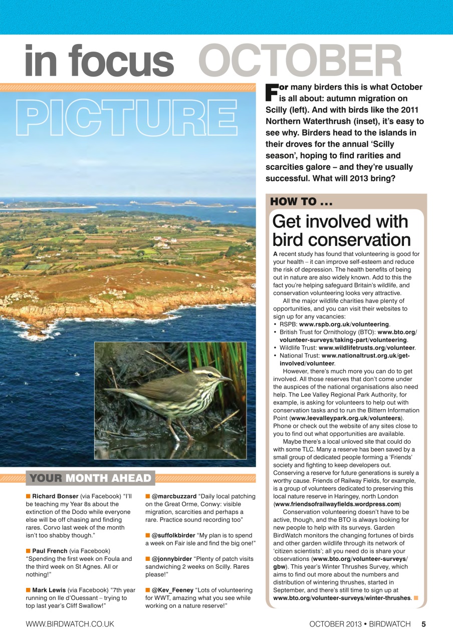 Birdwatch Magazine Preview Pages