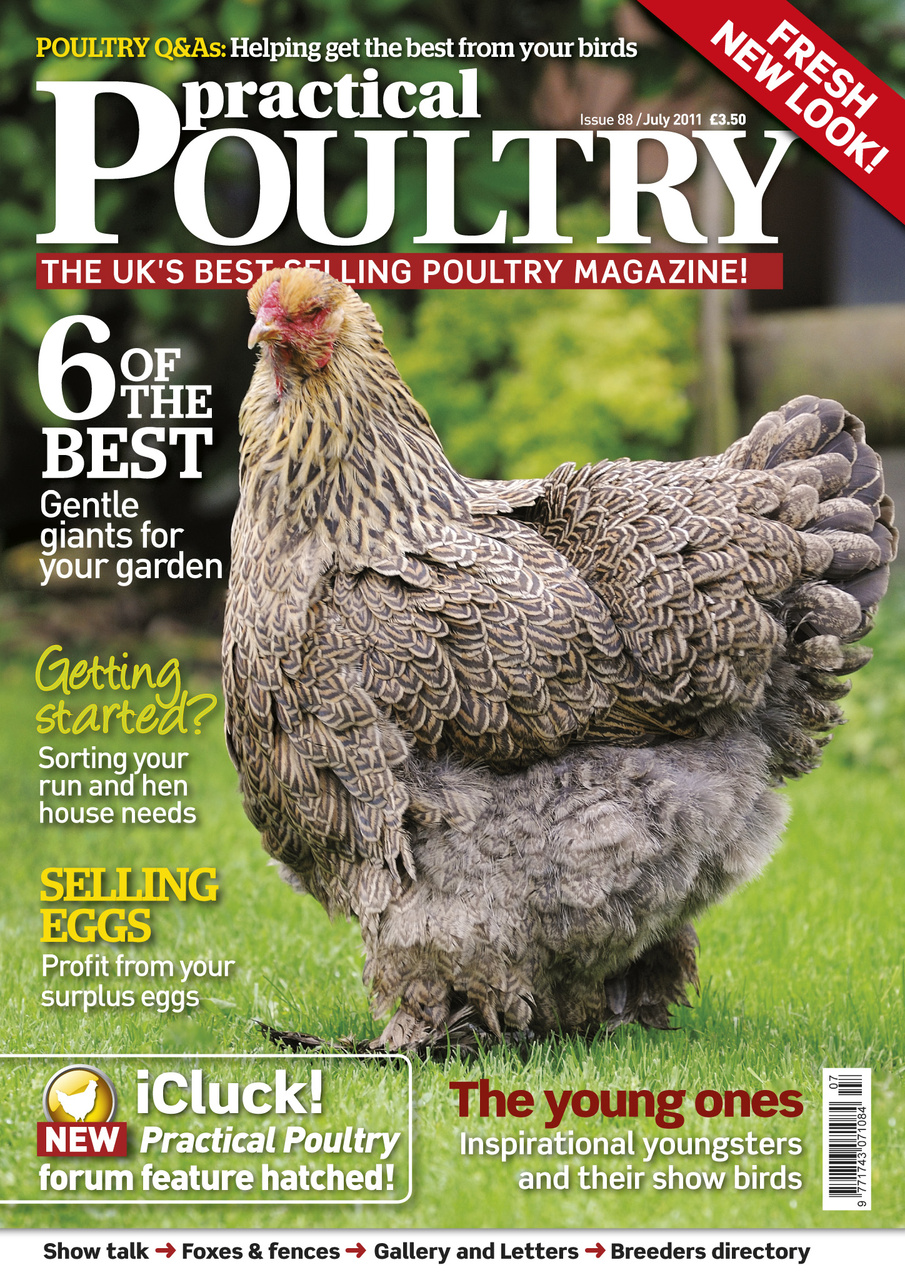 Practical Poultry Preview Pages