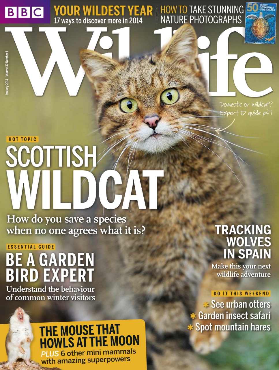 BBC Wildlife Magazine Preview Pages