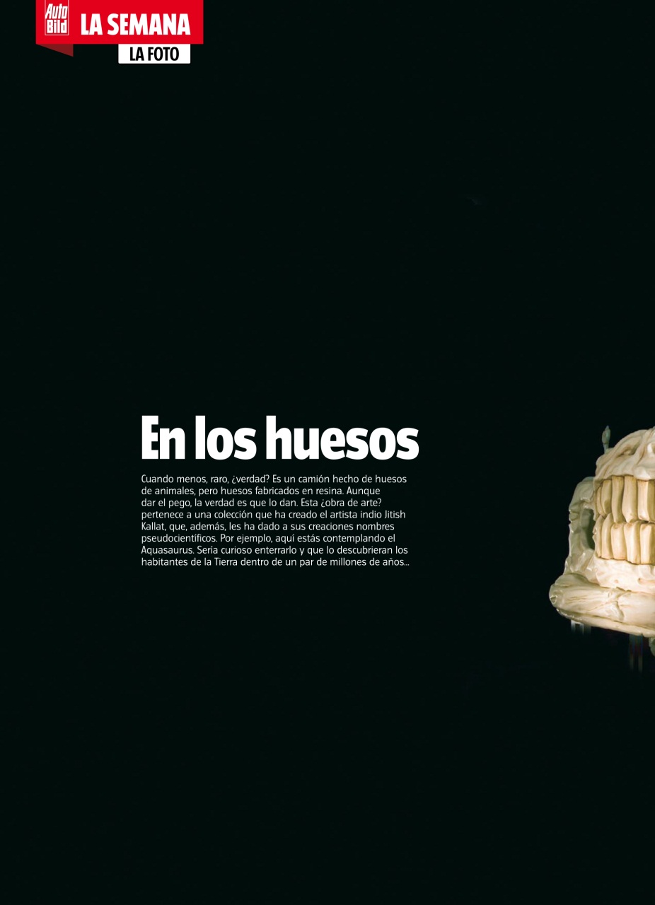 Auto Bild Preview Pages