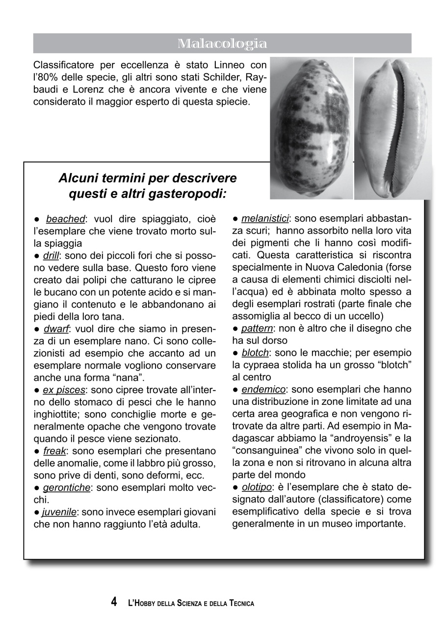 L'HOBBY DELLA SCIENZA E DELLA TECNICA Preview Pages