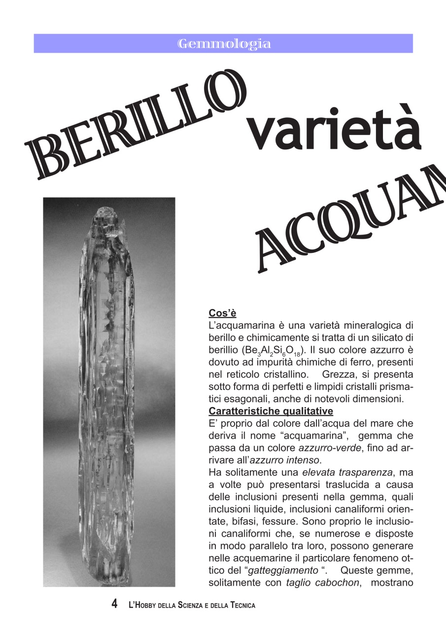 L'HOBBY DELLA SCIENZA E DELLA TECNICA Preview Pages