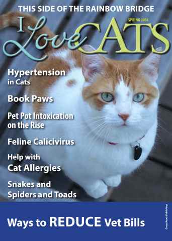 Spring 2014 issue Spring 2014