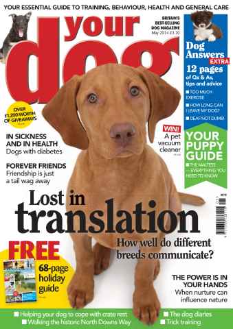 Your Dog issue Your Dog Magazine May 2014