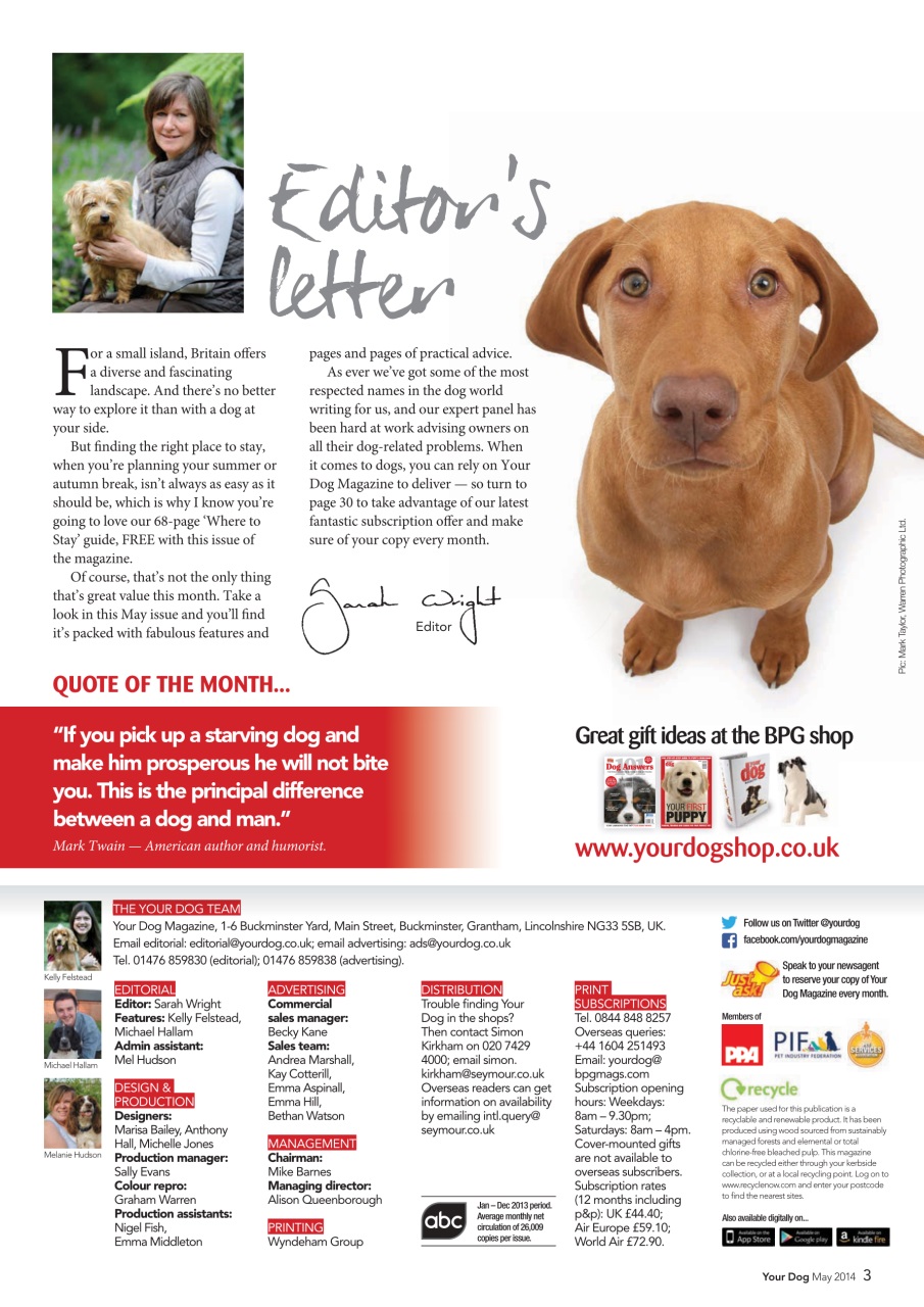 Your Dog Preview Pages