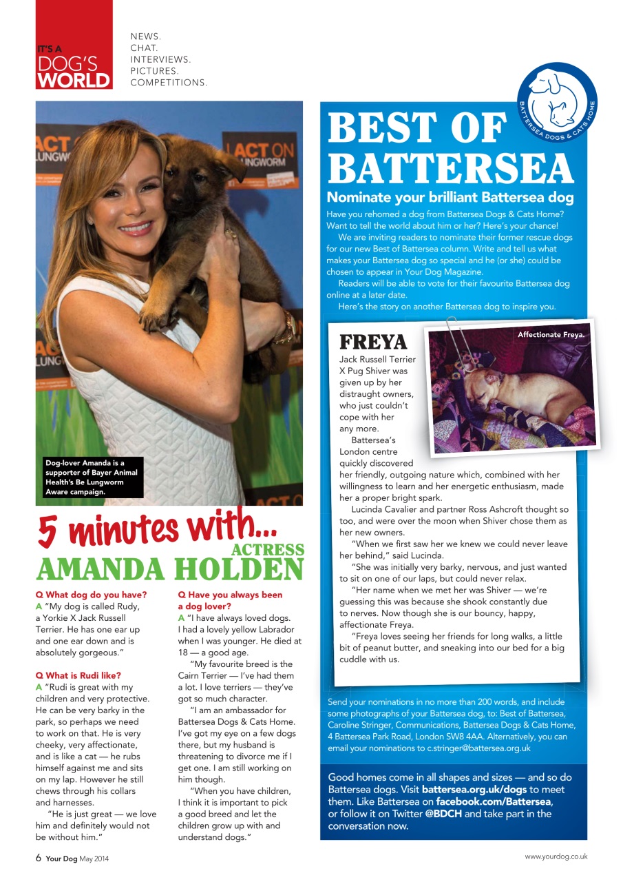 Your Dog Preview Pages