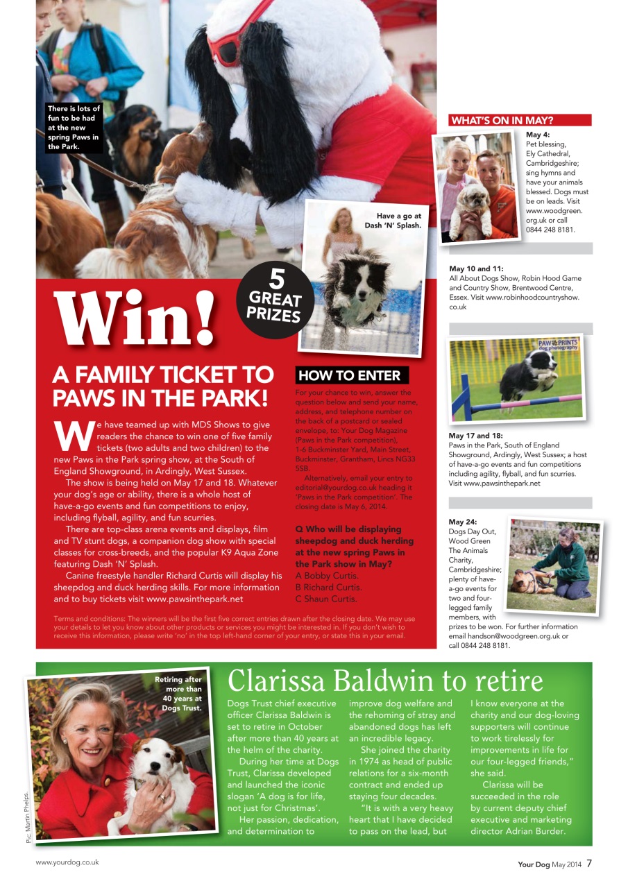 Your Dog Preview Pages