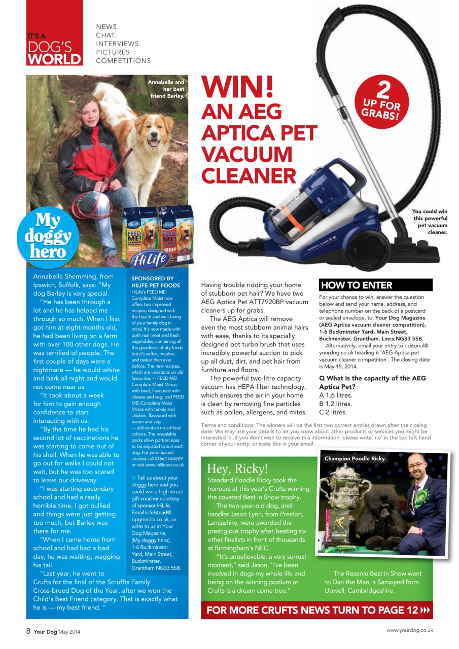 Your Dog Preview Pages