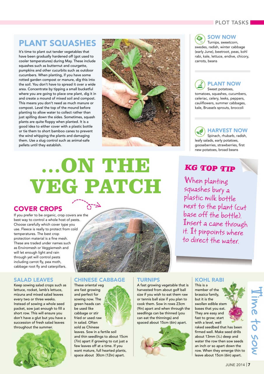 Kitchen Garden Magazine Preview Pages