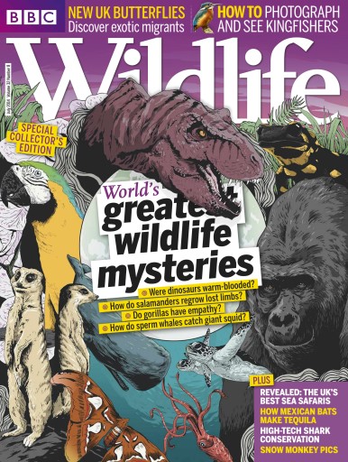 BBC Wildlife Magazine issue 
