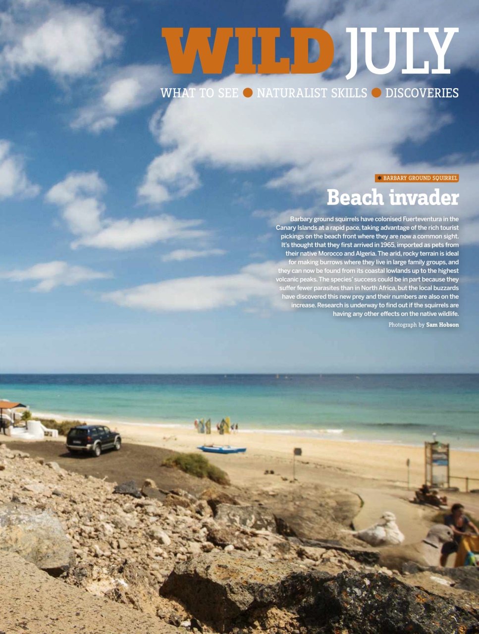 BBC Wildlife Magazine Preview Pages