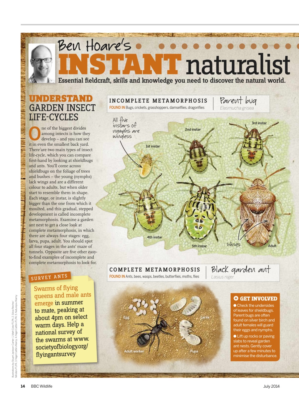 BBC Wildlife Magazine Preview Pages