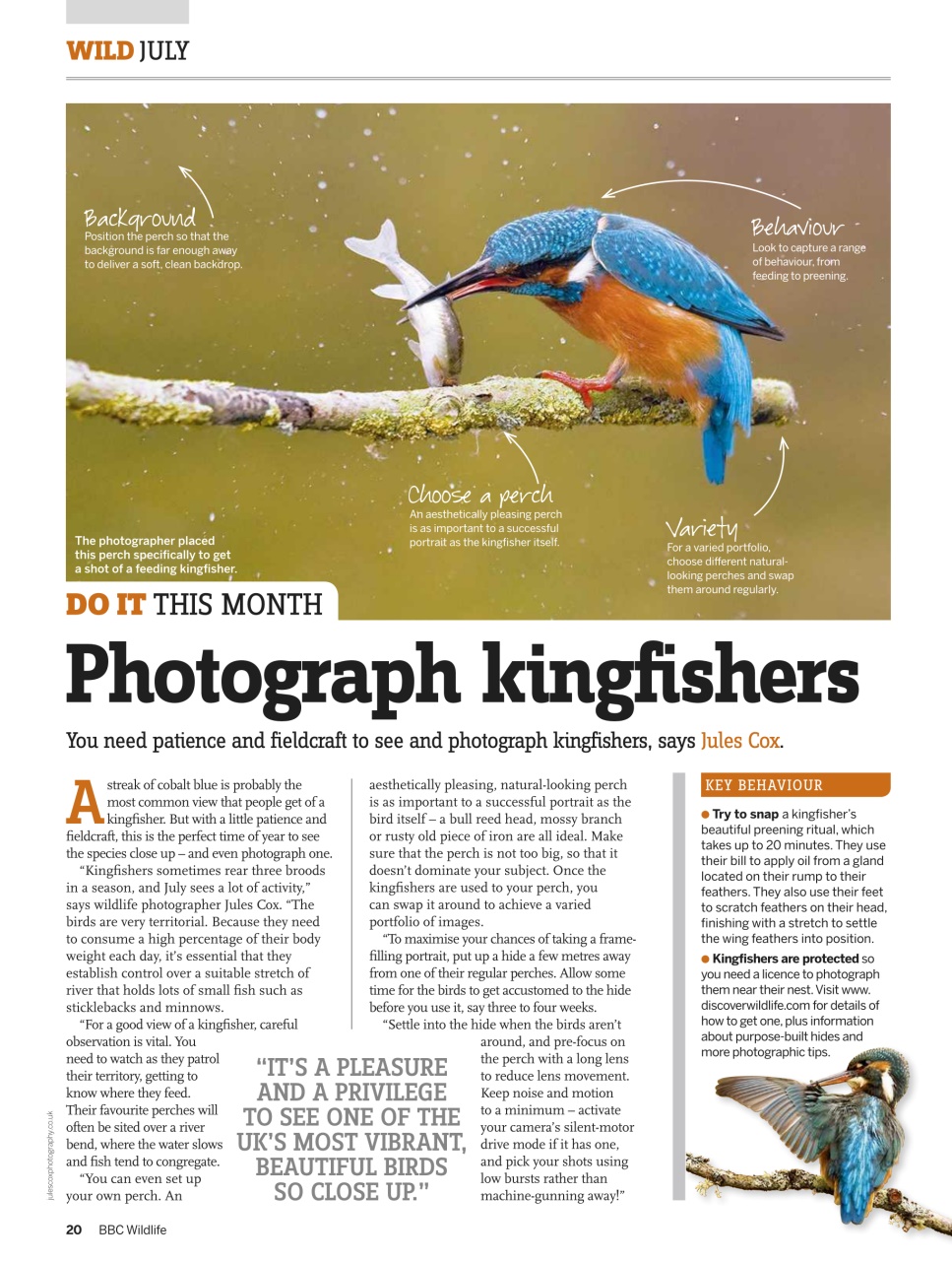 BBC Wildlife Magazine Preview Pages