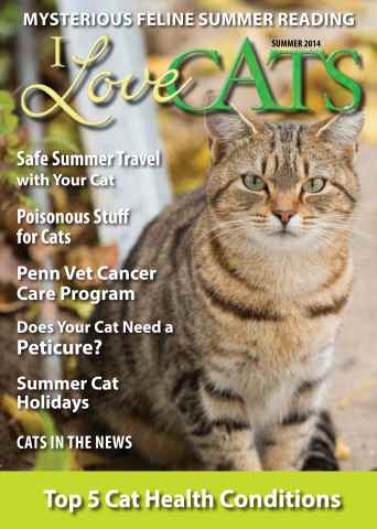 Summer 2013 issue Summer 2013