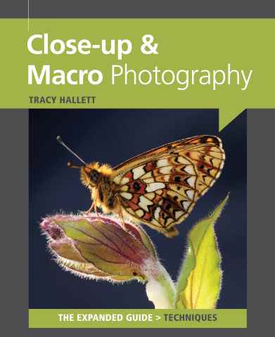 Close up & Macro Photography issue Close up & Macro Photography