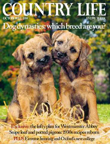 Country Life issue 22nd October 2014