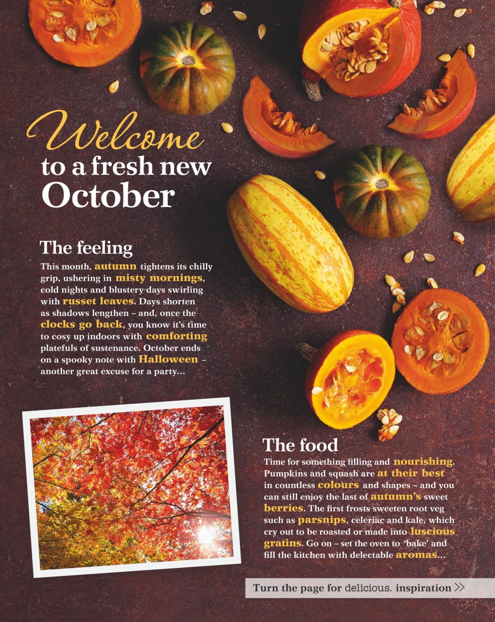 delicious. Magazine Preview Pages