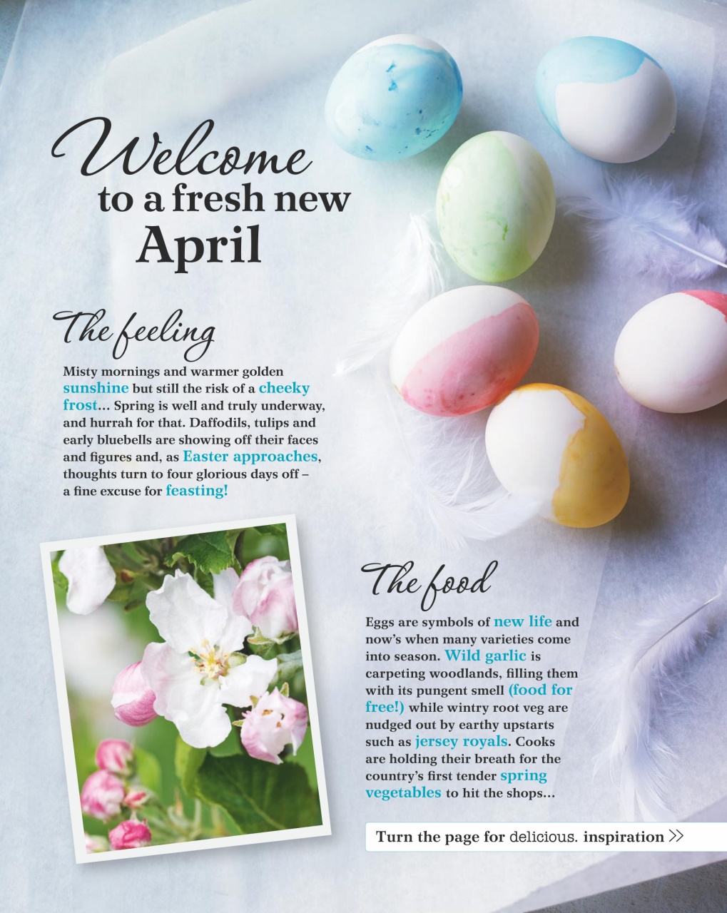 delicious. Magazine Preview Pages