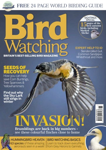 Birdwatching Magazine