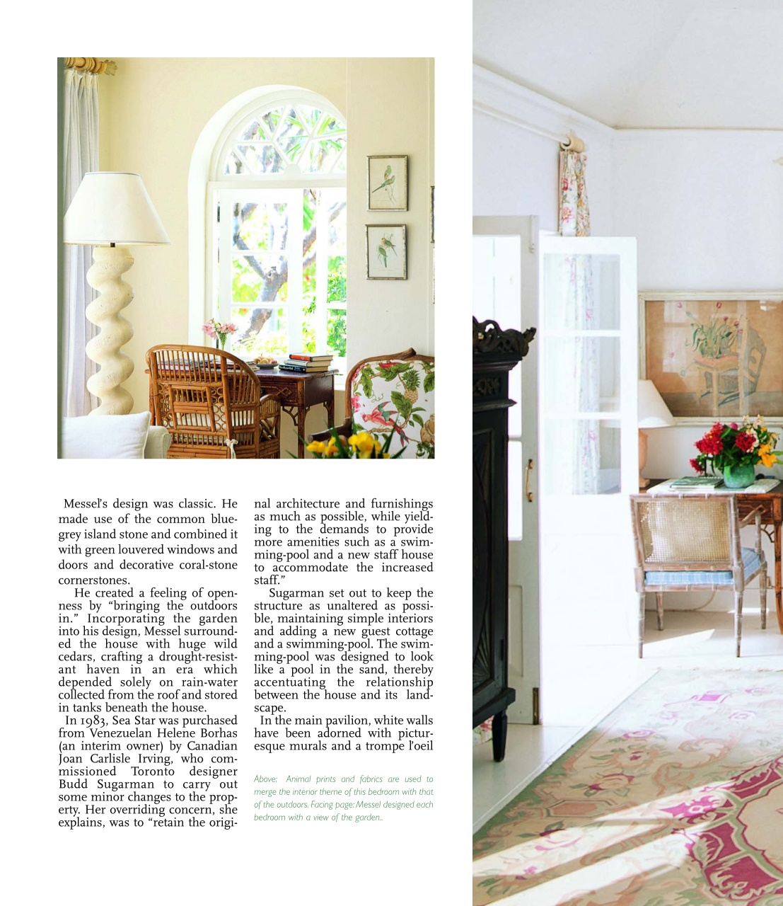 Island Life Preview Pages