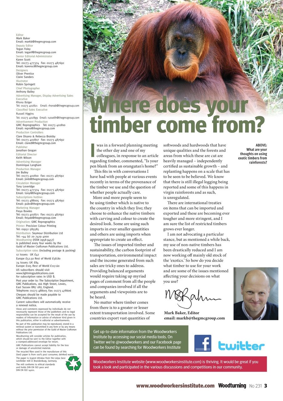 Woodturning Preview Pages