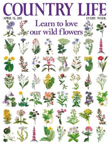 Country Life issue 15th April 2015