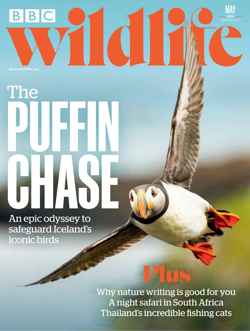 BBC Wildlife magazine subscription