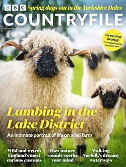 BBC Countryfile magazine subscription