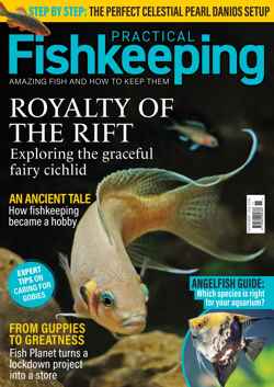 Practical Fishkeeping magazine