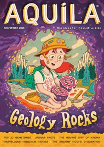 Aquila 
                issue Geology Rocks!