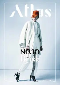 The Brisk Issue 
                issue The Brisk Issue