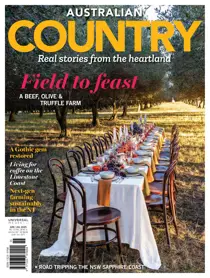 Complete Your Collection Cover 1