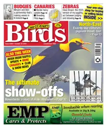 Complete Your Collection Cover 3