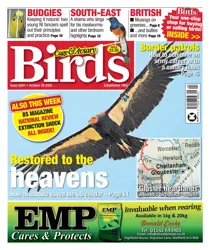 Complete Your Collection Cover 2