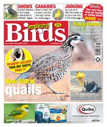 Complete Your Collection Cover 1